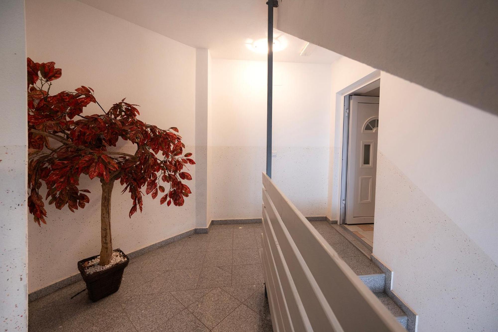 Grom Ribno Apartments 布莱德 外观 照片